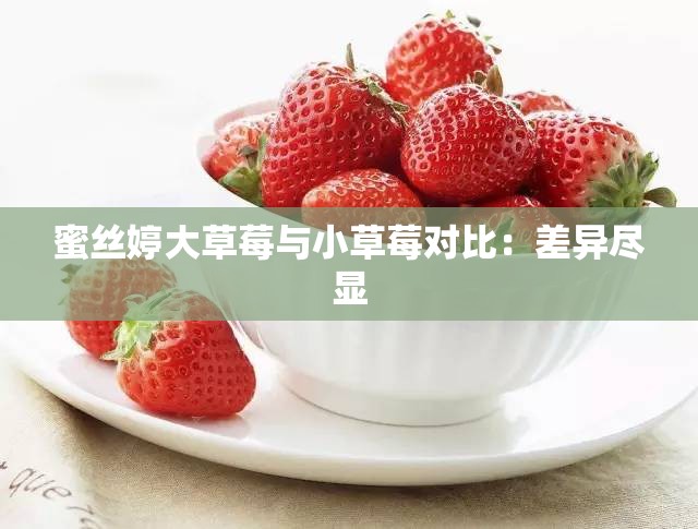 蜜丝婷大草莓与小草莓对比：差异尽显