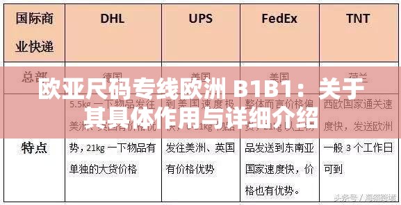 欧亚尺码专线欧洲 B1B1：关于其具体作用与详细介绍