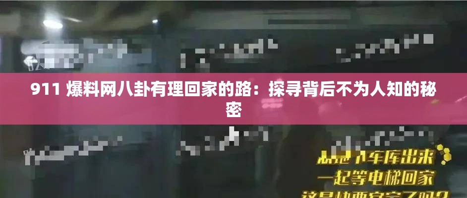911 爆料网八卦有理回家的路：探寻背后不为人知的秘密