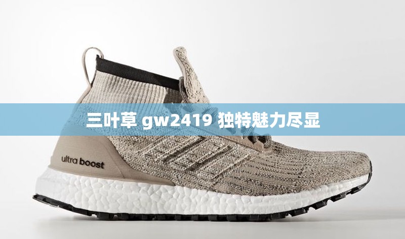 三叶草 gw2419 独特魅力尽显