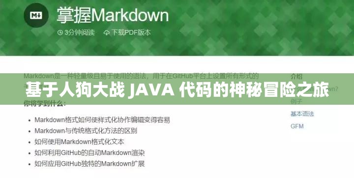 基于人狗大战 JAVA 代码的神秘冒险之旅