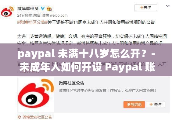 paypal 未满十八岁怎么开？- 未成年人如何开设 Paypal 账户