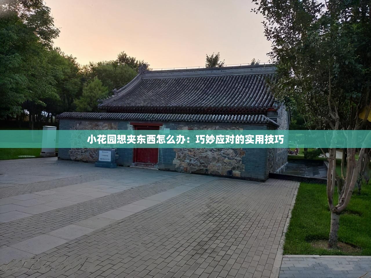 小花园想夹东西怎么办：巧妙应对的实用技巧