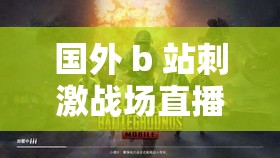 国外 b 站刺激战场直播：真实战场，热血对决
