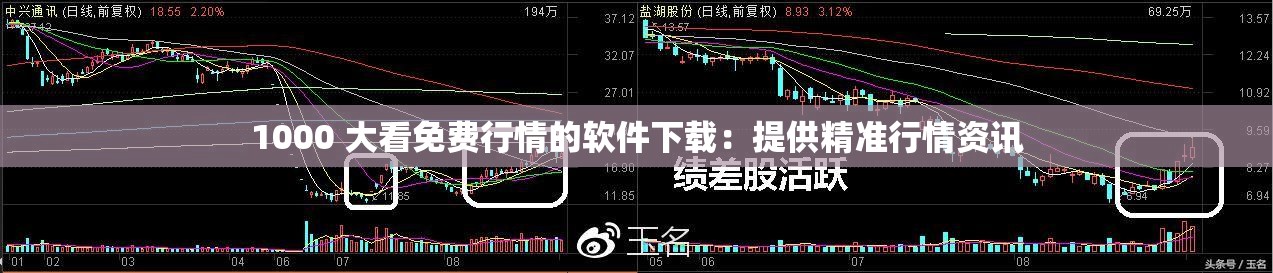 1000 大看免费行情的软件下载：提供精准行情资讯