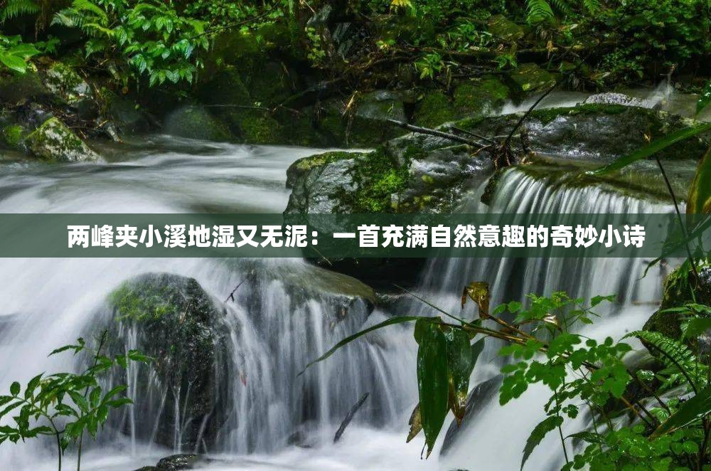 两峰夹小溪地湿又无泥：一首充满自然意趣的奇妙小诗