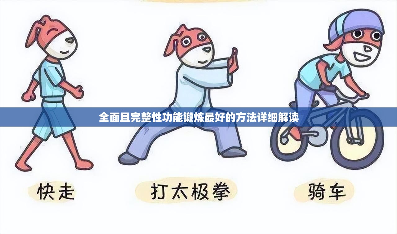 全面且完整性功能锻炼最好的方法详细解读
