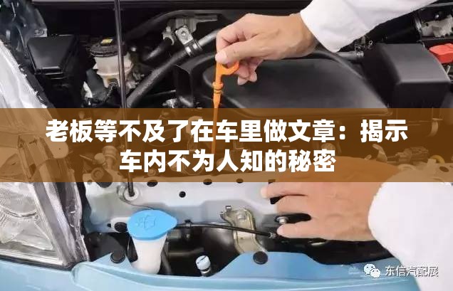 老板等不及了在车里做文章：揭示车内不为人知的秘密