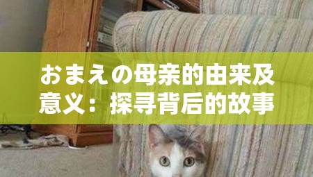 おまえの母亲的由来及意义：探寻背后的故事与情感内涵