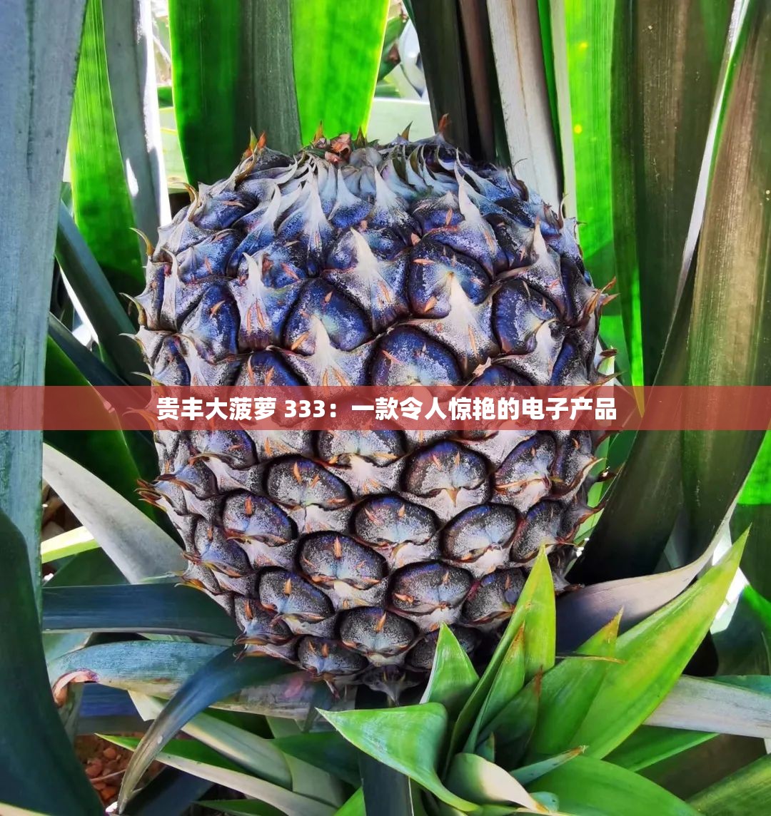 贵丰大菠萝 333：一款令人惊艳的电子产品
