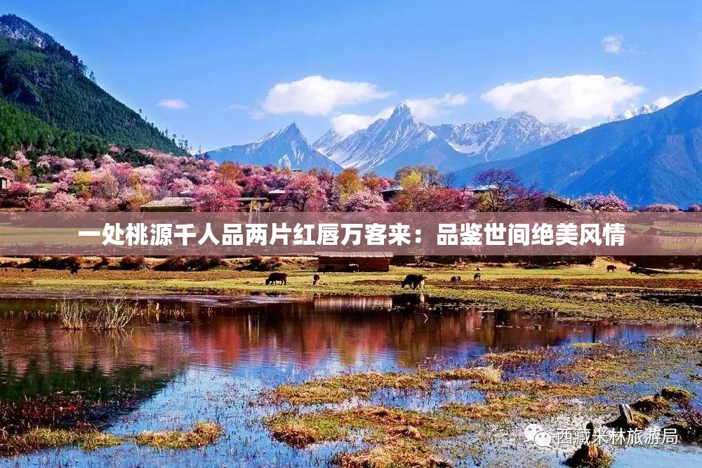 一处桃源千人品两片红唇万客来：品鉴世间绝美风情