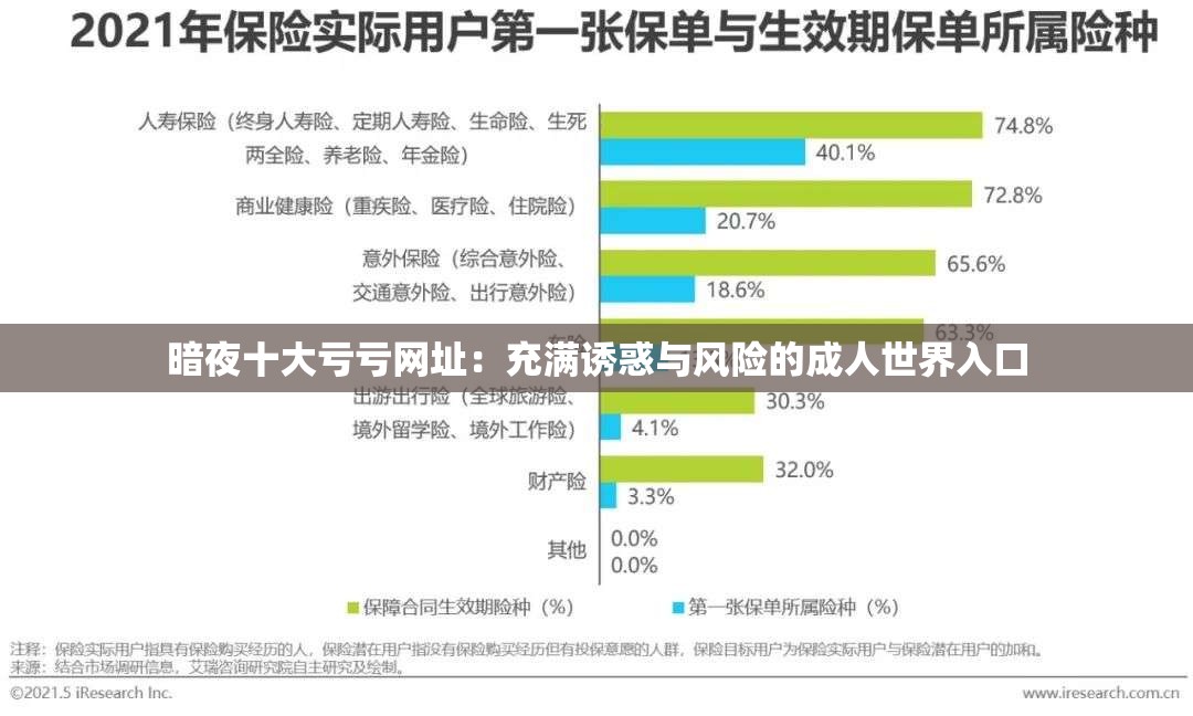 暗夜十大亏亏网址：充满诱惑与风险的成人世界入口