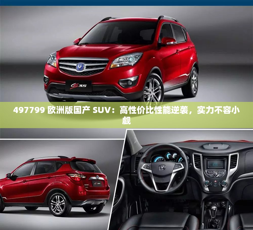 497799 欧洲版国产 SUV：高性价比性能逆袭，实力不容小觑