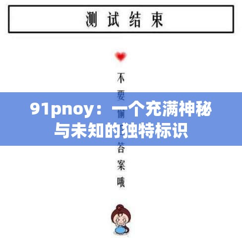 91pnoy：一个充满神秘与未知的独特标识
