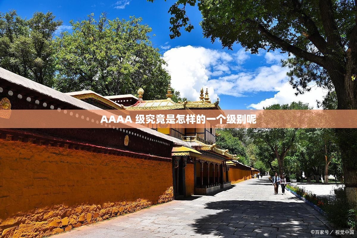 AAAA 级究竟是怎样的一个级别呢
