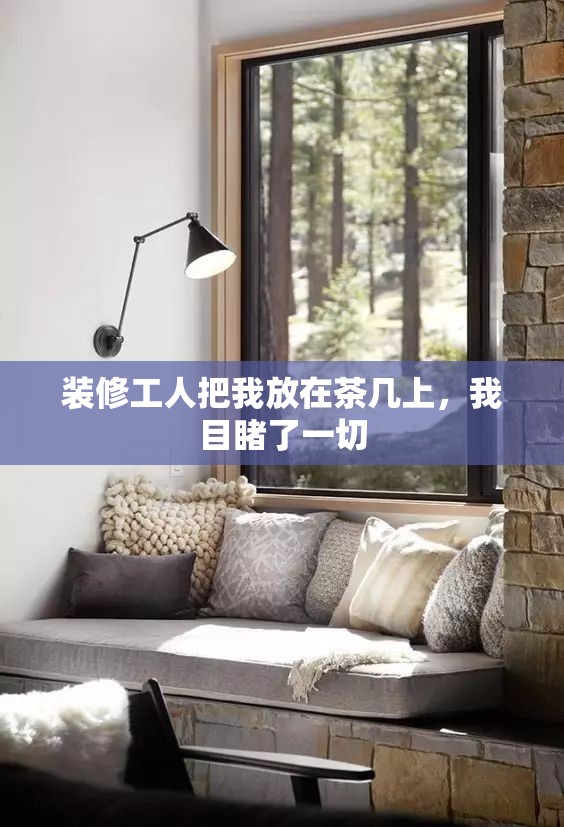 装修工人把我放在茶几上，我目睹了一切