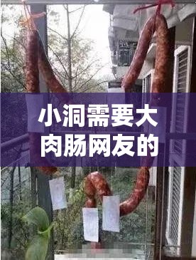 小洞需要大肉肠网友的奇妙探索之旅