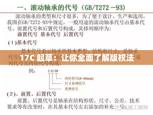 17C 起草：让你全面了解版权法
