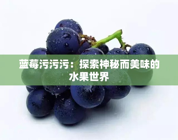 蓝莓污污污：探索神秘而美味的水果世界