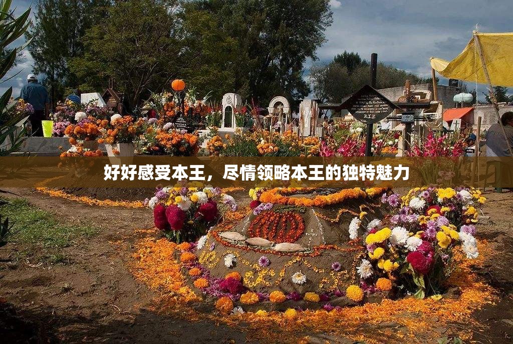 好好感受本王，尽情领略本王的独特魅力