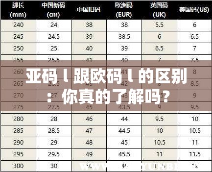 亚码 l 跟欧码 l 的区别：你真的了解吗？