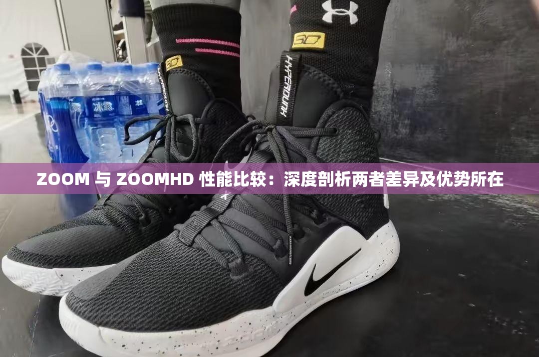 ZOOM 与 ZOOMHD 性能比较：深度剖析两者差异及优势所在