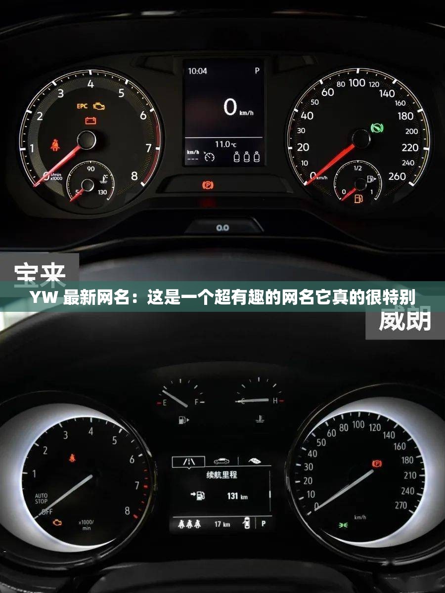 YW 最新网名：这是一个超有趣的网名它真的很特别