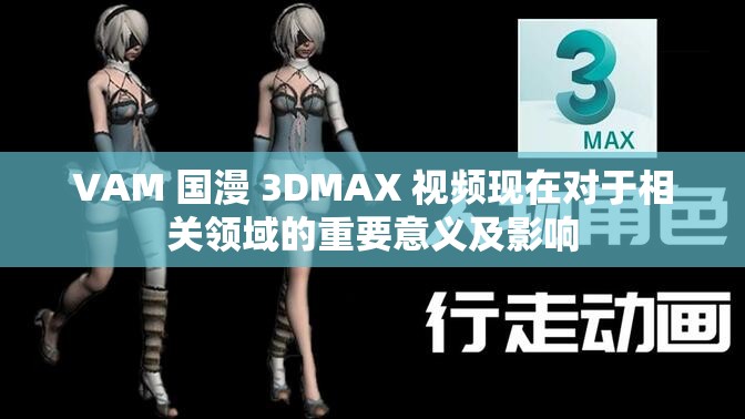 VAM 国漫 3DMAX 视频现在对于相关领域的重要意义及影响