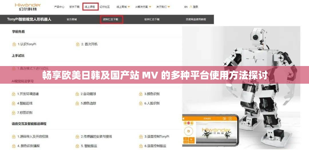 畅享欧美日韩及国产站 MV 的多种平台使用方法探讨