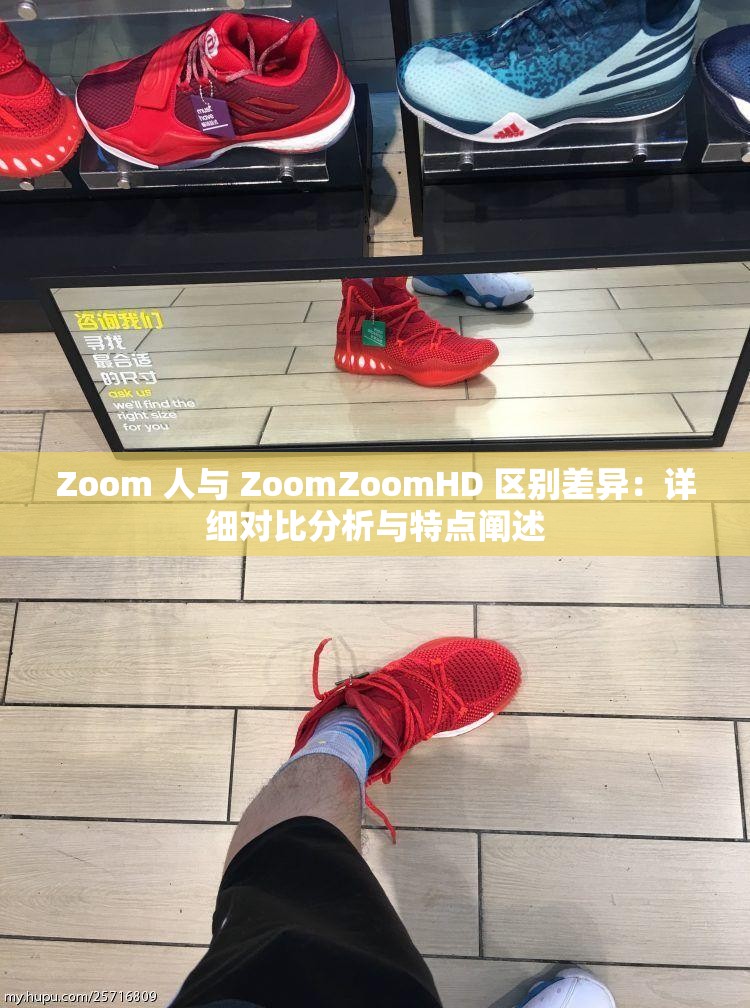 Zoom 人与 ZoomZoomHD 区别差异：详细对比分析与特点阐述