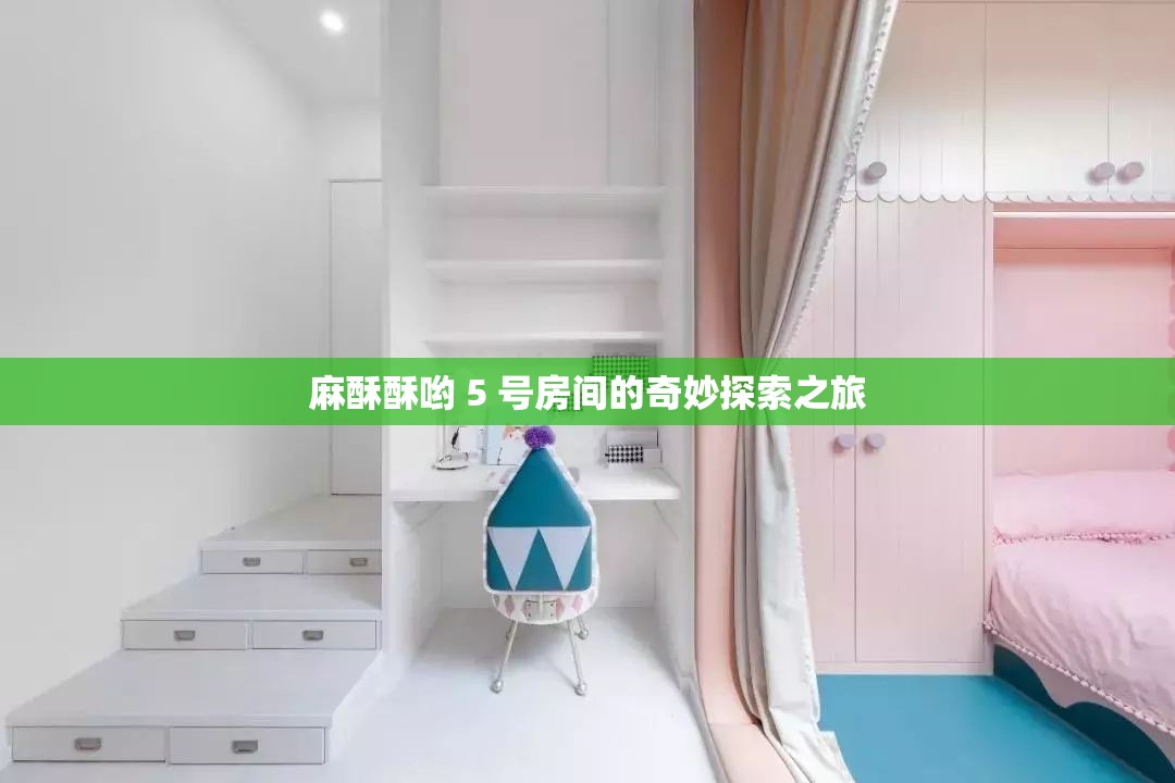 麻酥酥哟 5 号房间的奇妙探索之旅