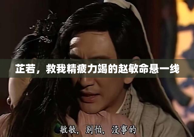 芷若，救我精疲力竭的赵敏命悬一线