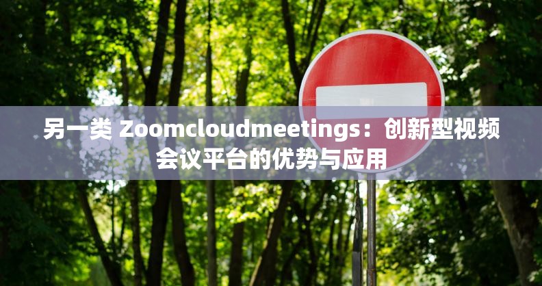 另一类 Zoomcloudmeetings：创新型视频会议平台的优势与应用