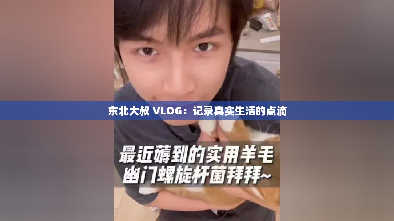 东北大叔 VLOG：记录真实生活的点滴