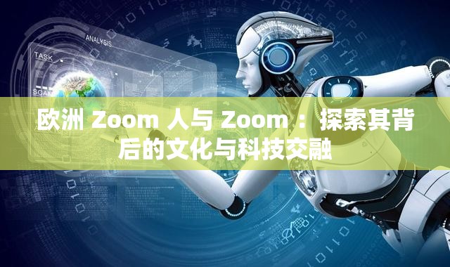 欧洲 Zoom 人与 Zoom ：探索其背后的文化与科技交融