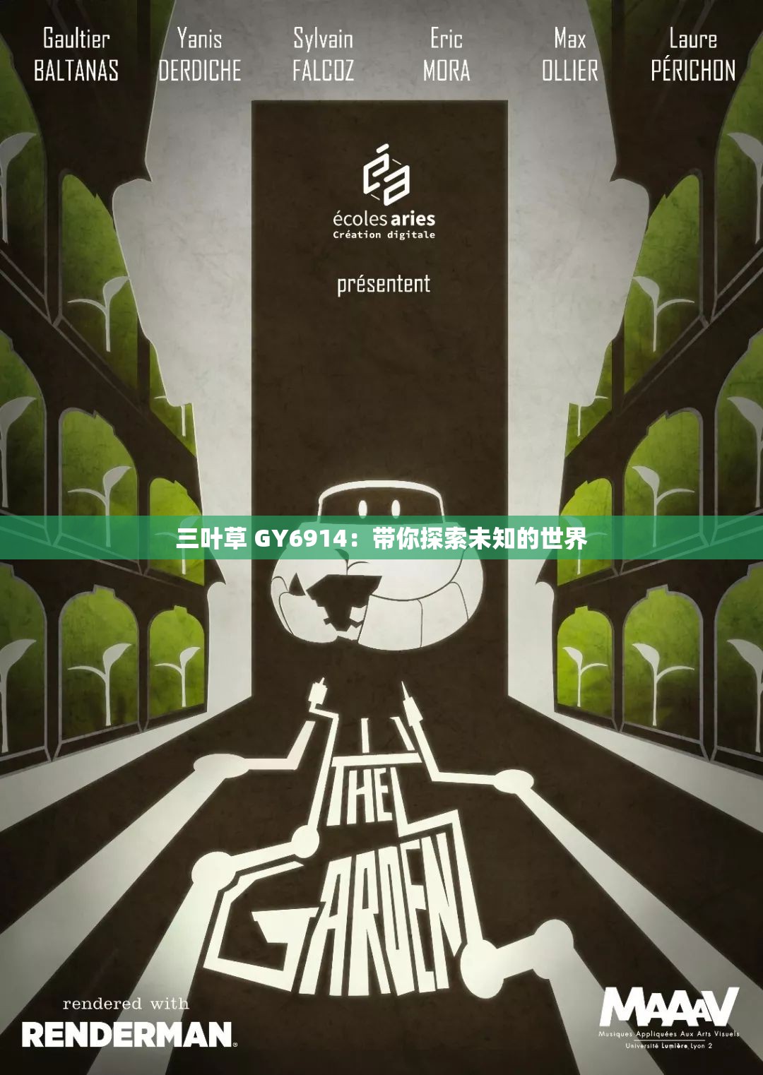 三叶草 GY6914：带你探索未知的世界