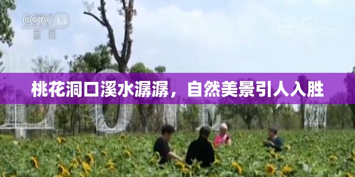 桃花洞口溪水潺潺，自然美景引人入胜
