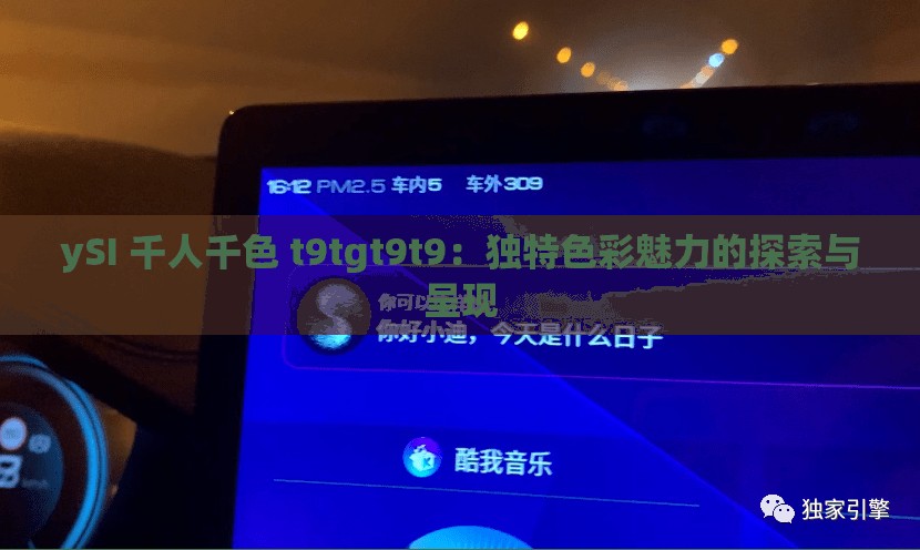 ySI 千人千色 t9tgt9t9：独特色彩魅力的探索与呈现