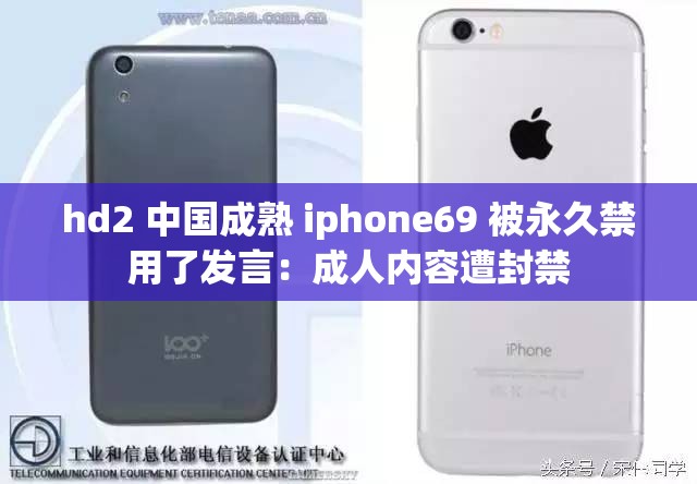 hd2 中国成熟 iphone69 被永久禁用了发言：成人内容遭封禁
