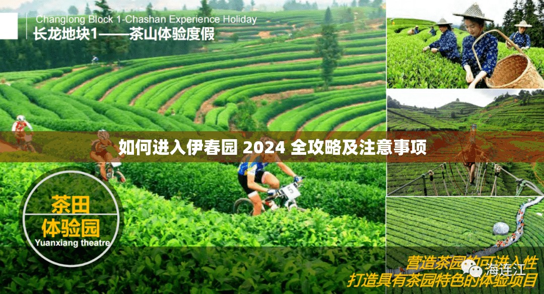 如何进入伊春园 2024 全攻略及注意事项