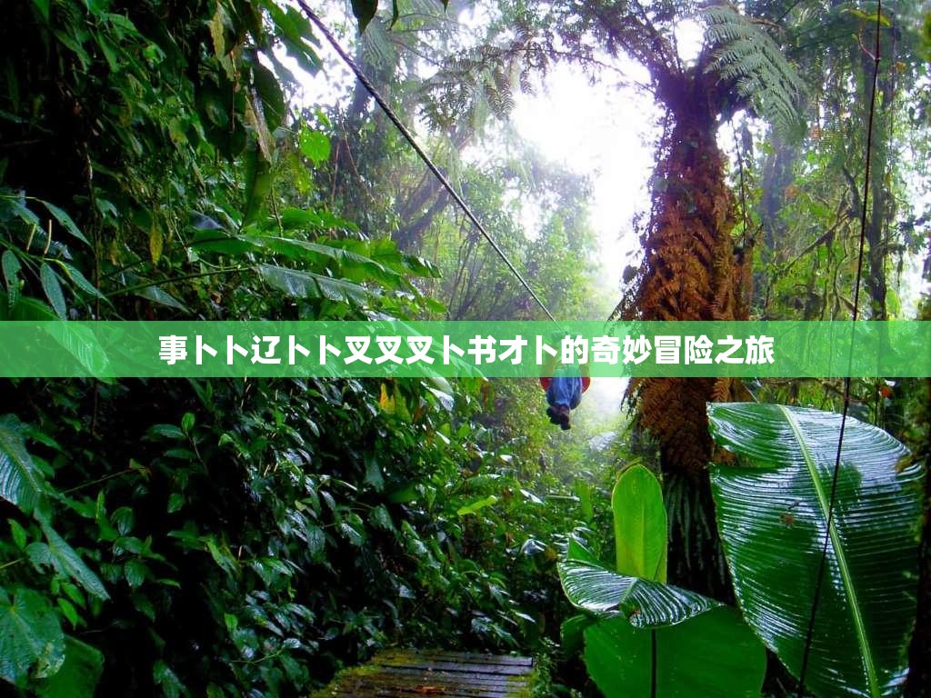 事卜卜辽卜卜叉叉叉卜书才卜的奇妙冒险之旅