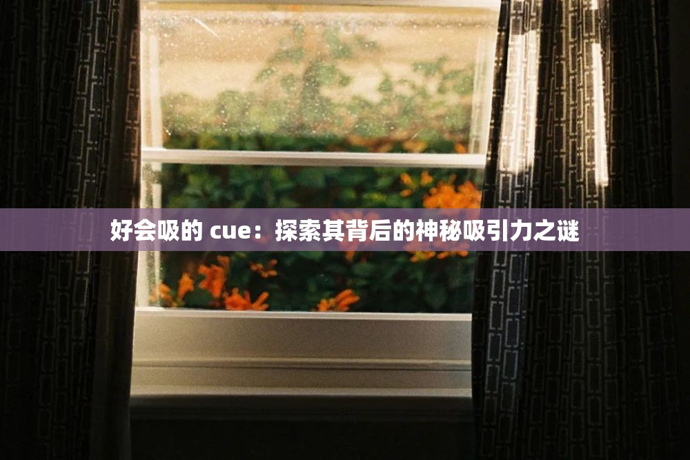 好会吸的 cue：探索其背后的神秘吸引力之谜