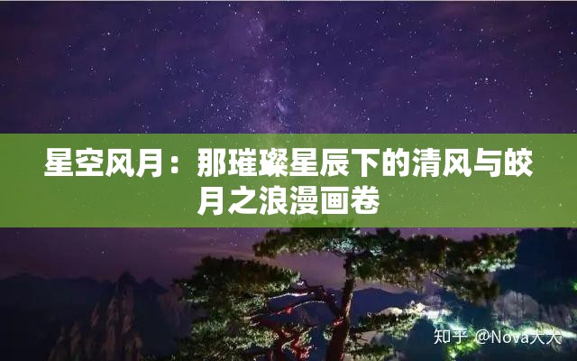 星空风月：那璀璨星辰下的清风与皎月之浪漫画卷