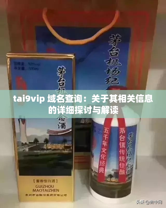 tai9vip 域名查询：关于其相关信息的详细探讨与解读