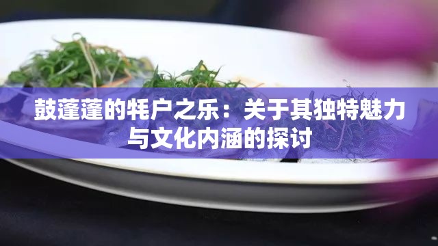 鼓蓬蓬的牦户之乐：关于其独特魅力与文化内涵的探讨