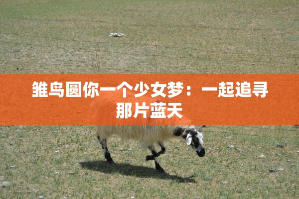 雏鸟圆你一个少女梦：一起追寻那片蓝天