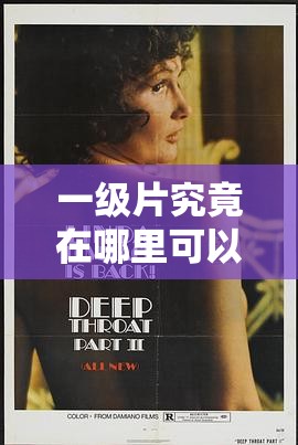 一级片究竟在哪里可以观看呢