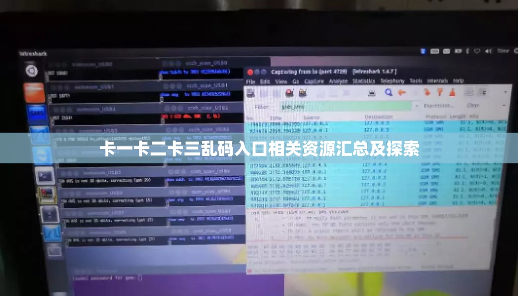 卡一卡二卡三乱码入口相关资源汇总及探索