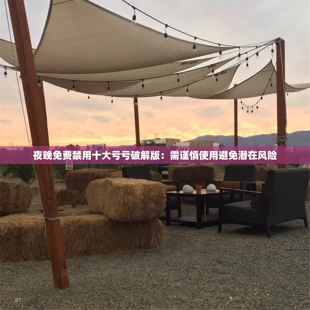 夜晚免费禁用十大亏亏破解版：需谨慎使用避免潜在风险