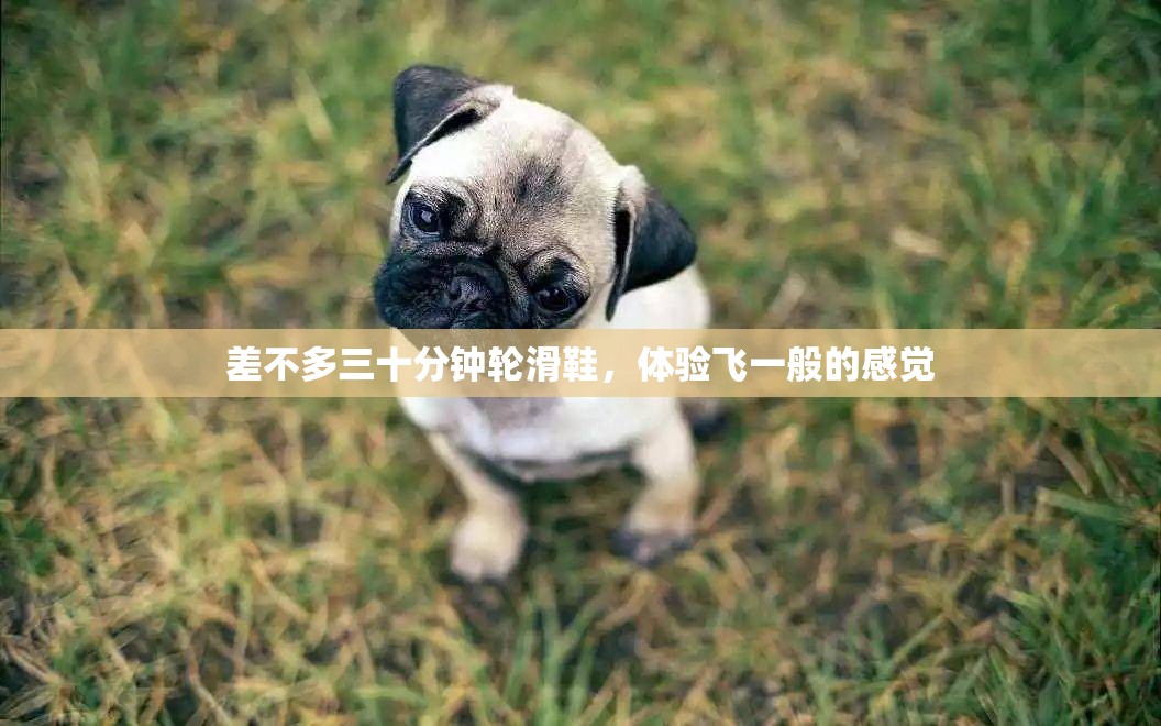 差不多三十分钟轮滑鞋，体验飞一般的感觉